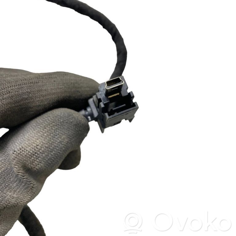 Ford Edge II Other wiring loom 