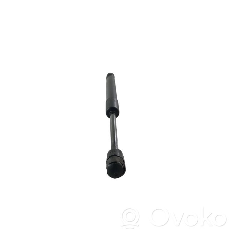 Ford Mustang V Tailgate/trunk strut/damper 