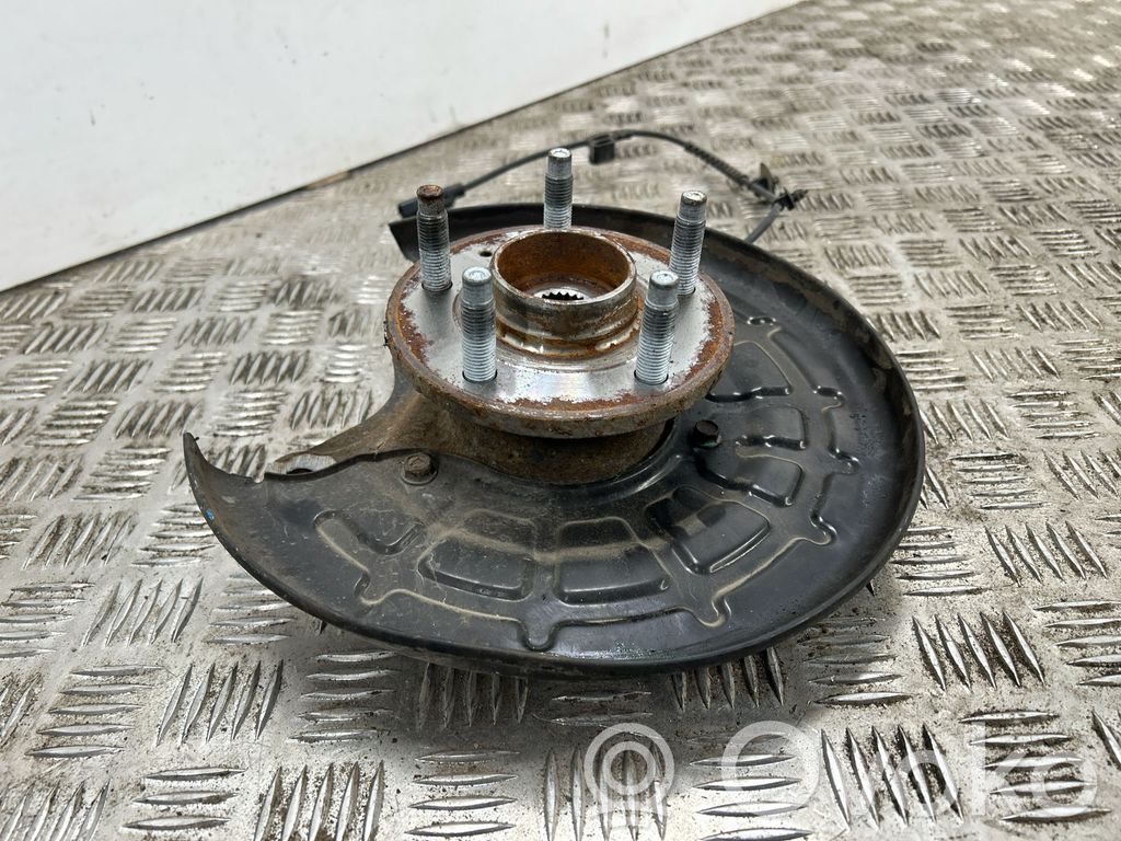 Cubo de rueda trasera   95937464,42453981,42450319