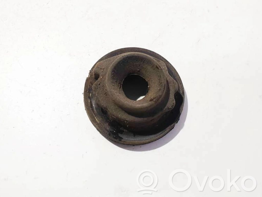 Audi A3 S3 8L Molla elicoidale anteriore con cuscinetti in gomma