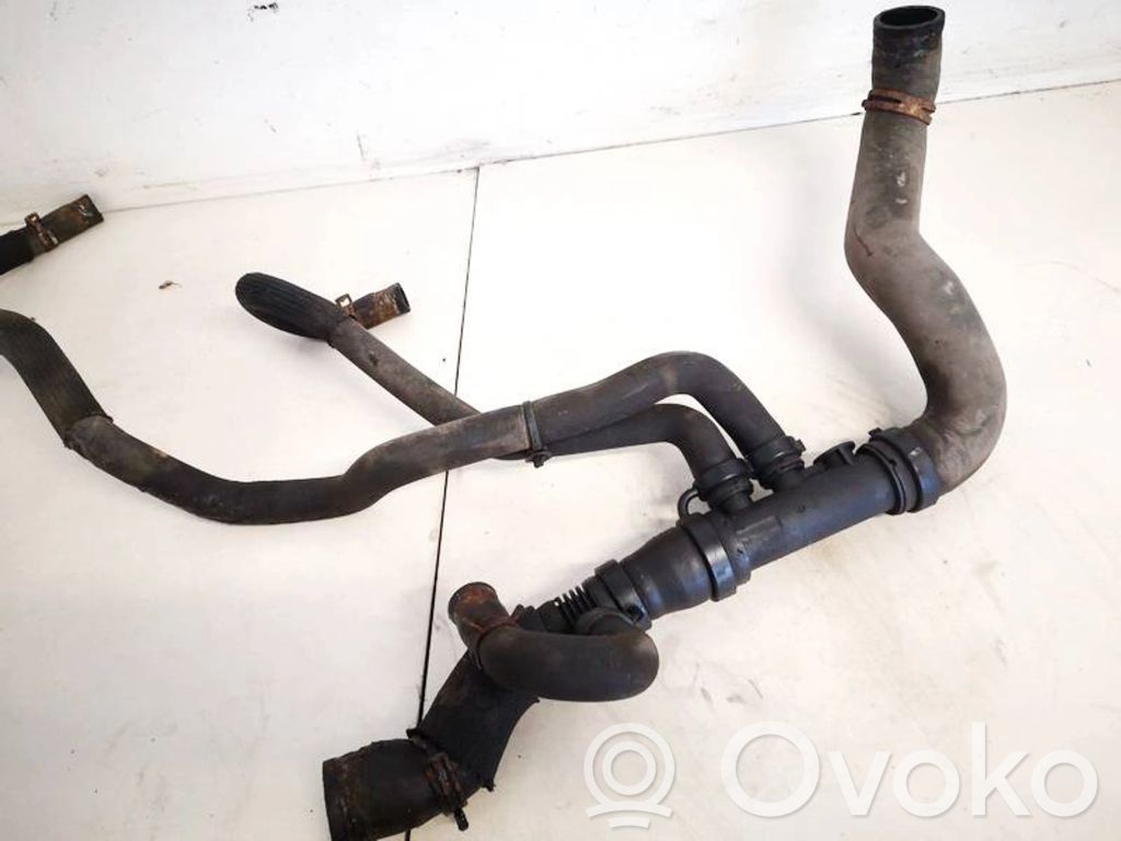 Renault Laguna III Conductă/furtun lichid de răcire motor 