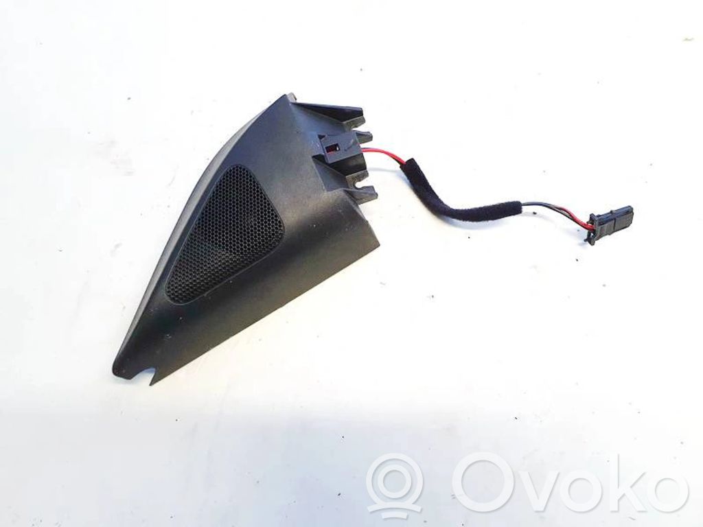 Volkswagen PASSAT B6 Difuzor ușă față 