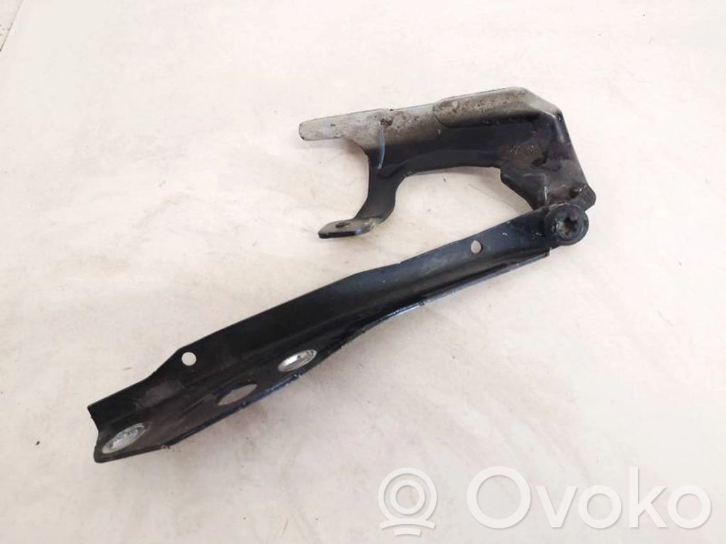 Cerniere del vano motore/cofano   30716252,30716252