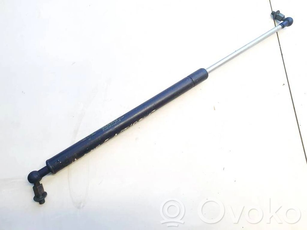 Tailgate/trunk strut/damper