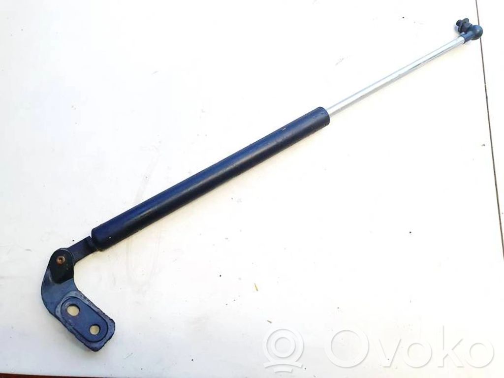 Tailgate/trunk strut/damper