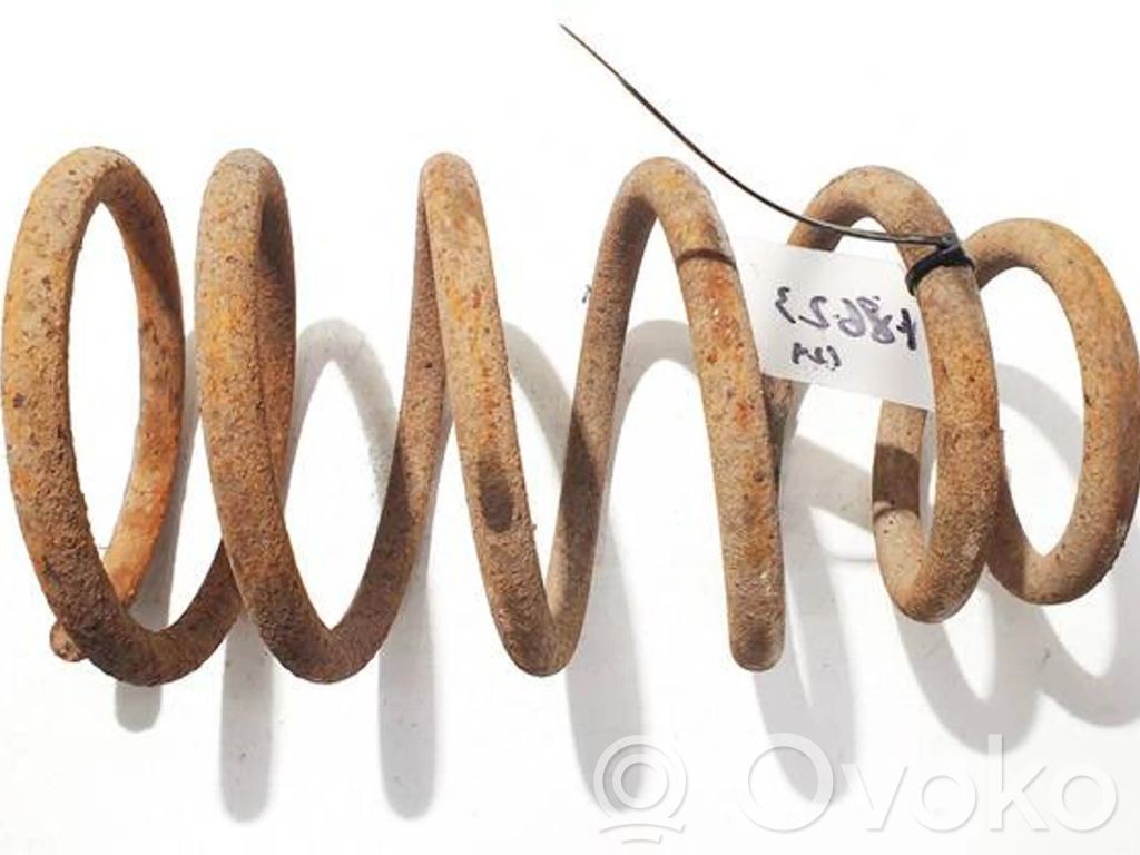 Rear coil spring