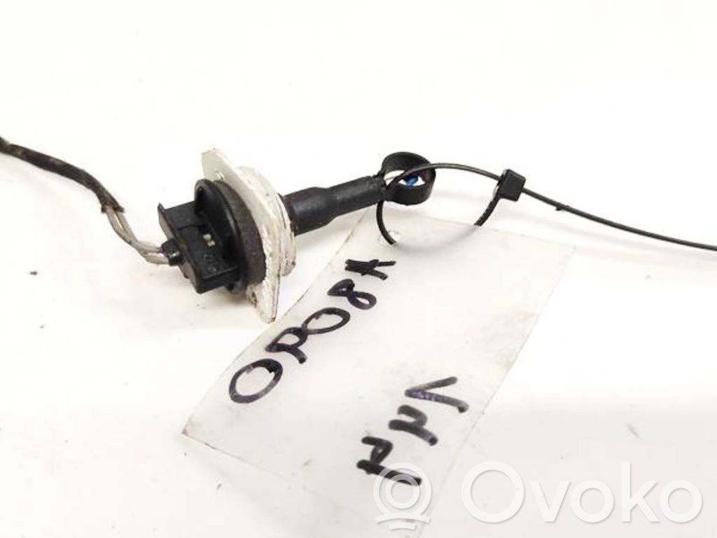 Sensore temperatura interna   006667V,006667V