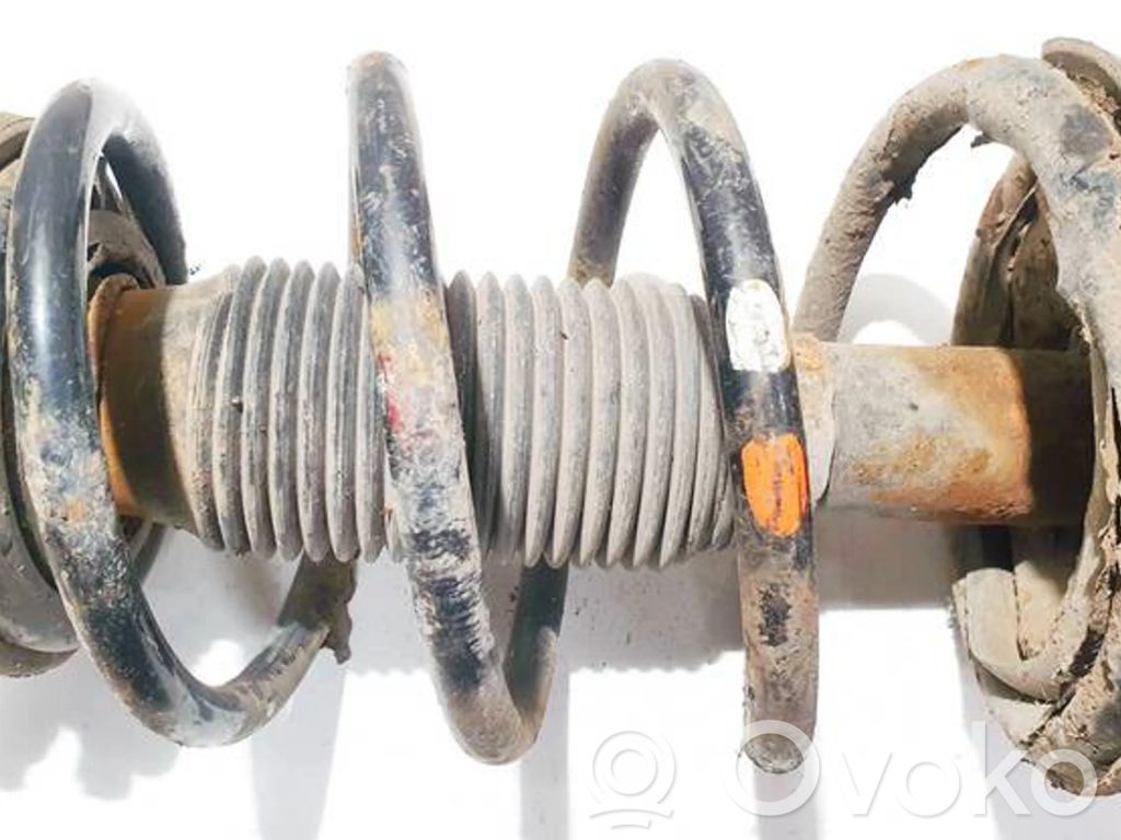 Front coil spring