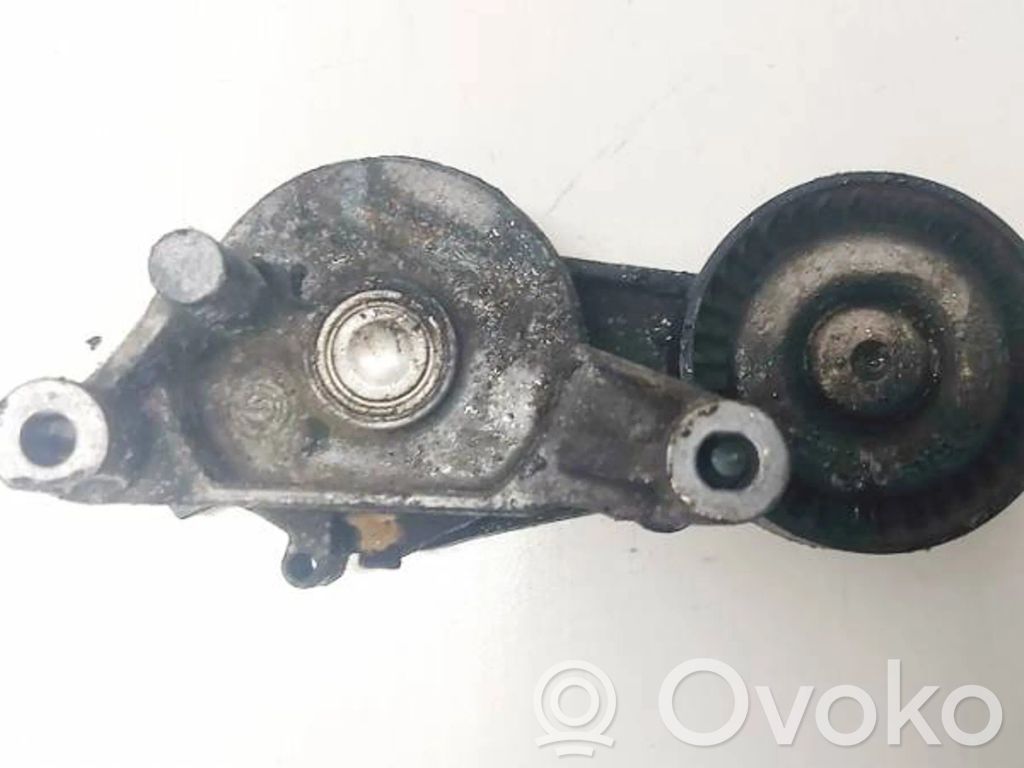 Volkswagen Touran I Întinzător curea generator/alternator 