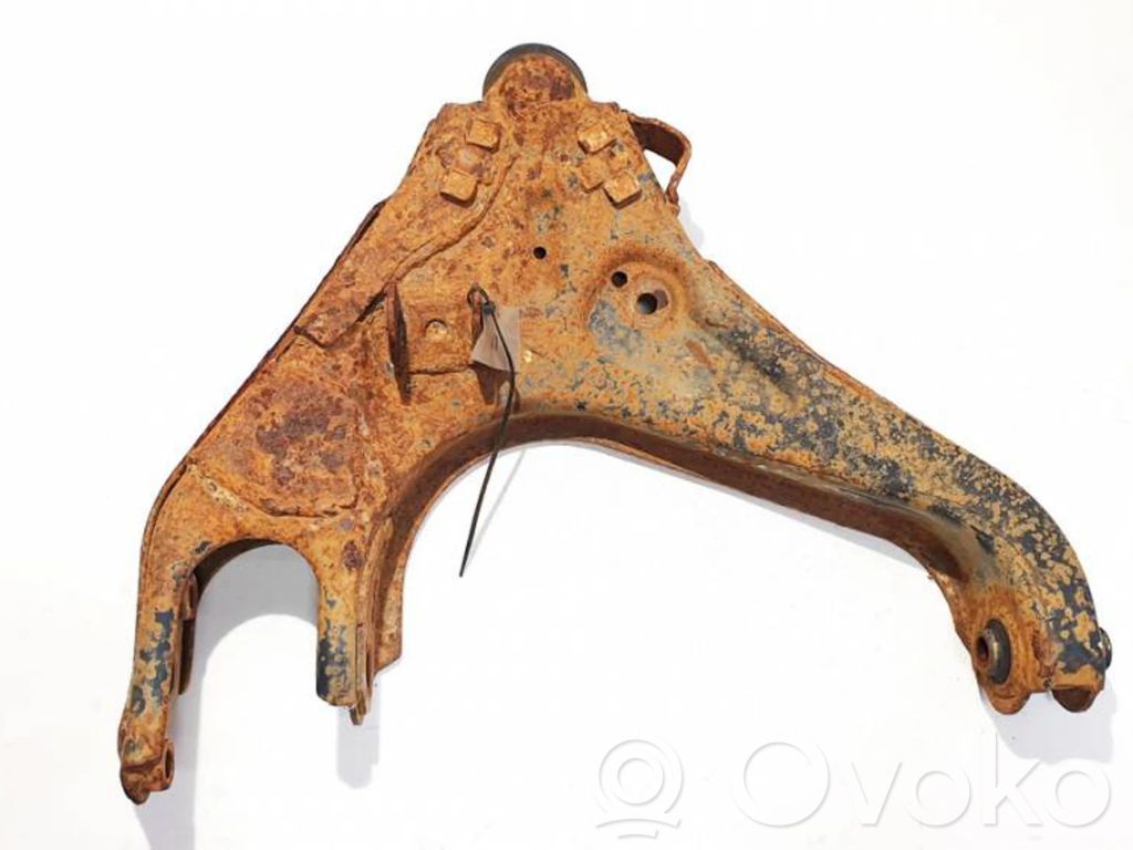 Front lower control arm/wishbone