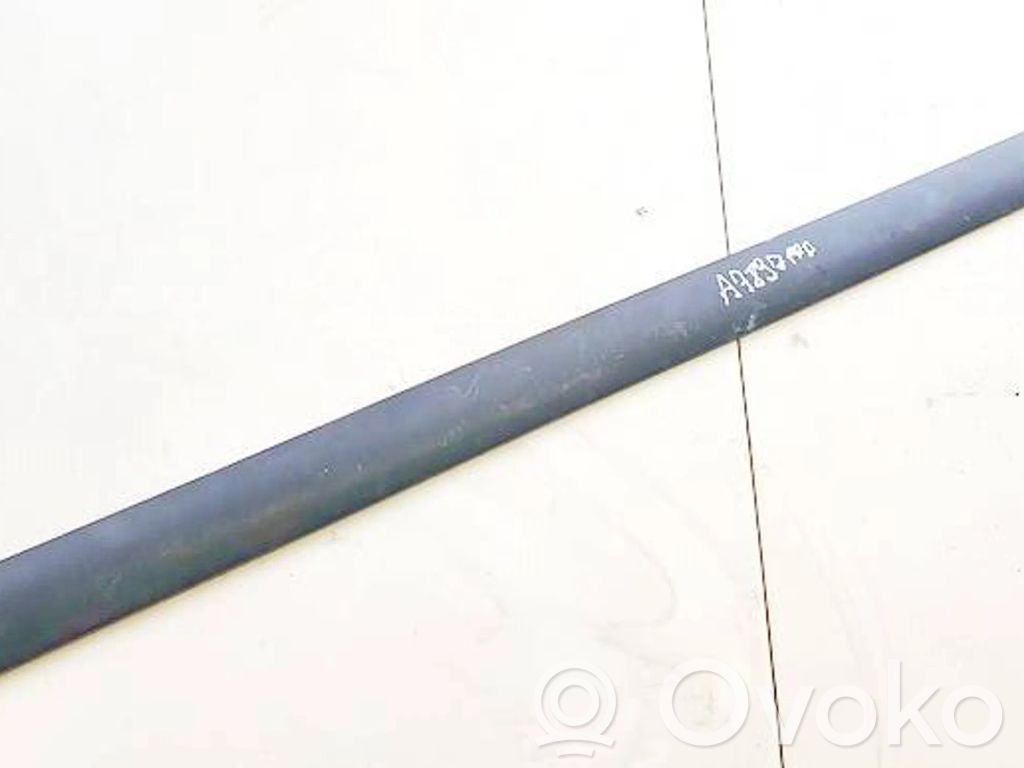 Skoda Octavia Mk2 (1Z) Rivestimento della portiera anteriore (modanatura)