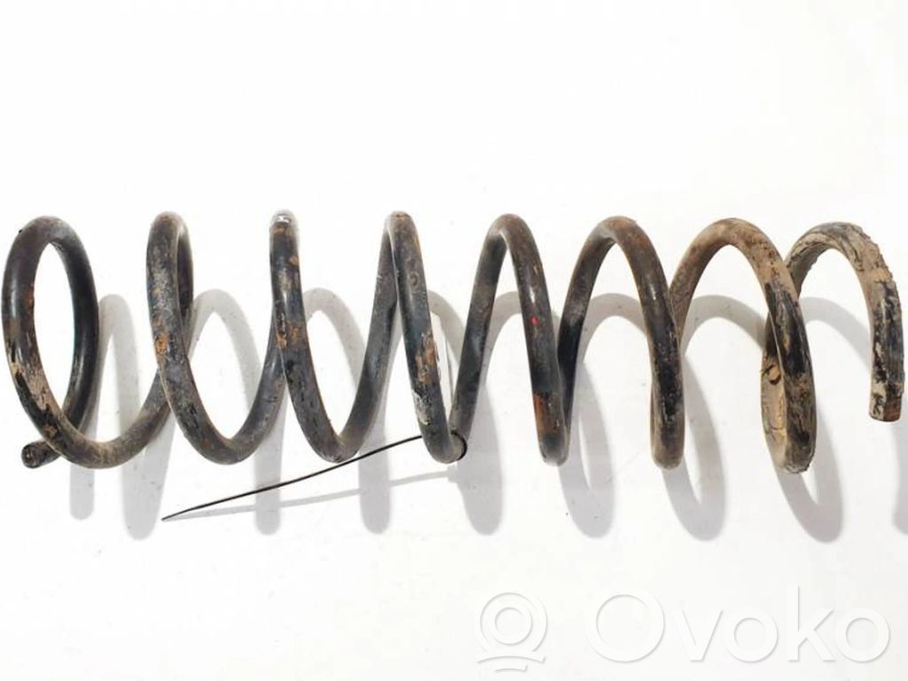 Rear coil spring