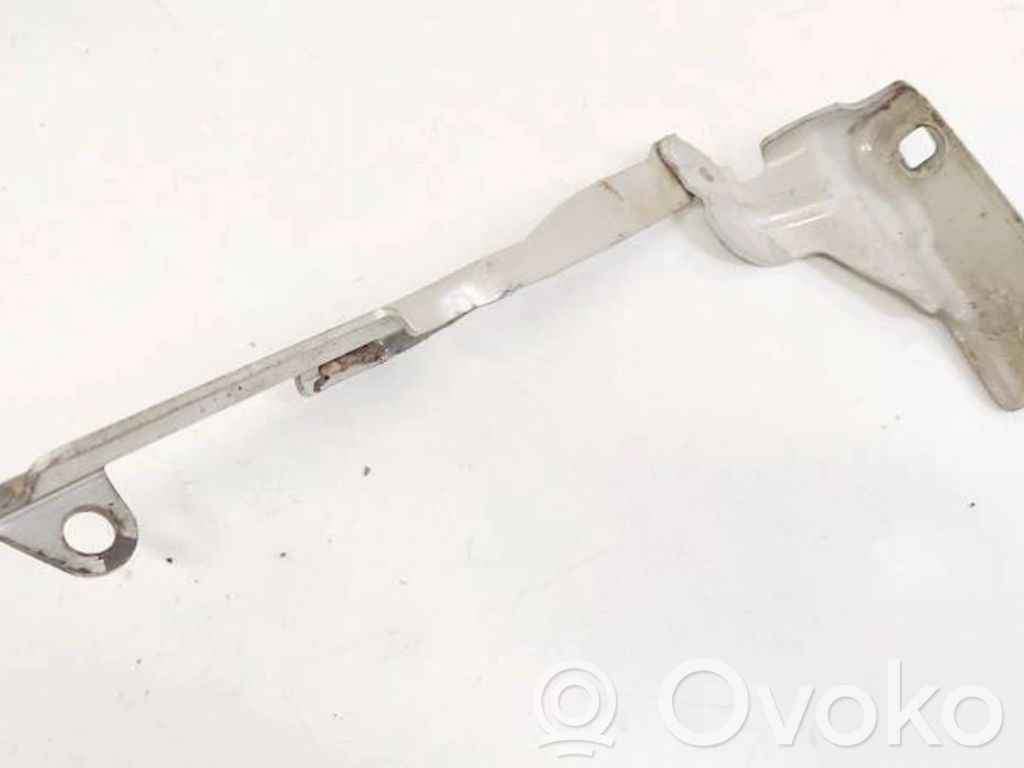 Citroen C4 I Konepellin saranat 