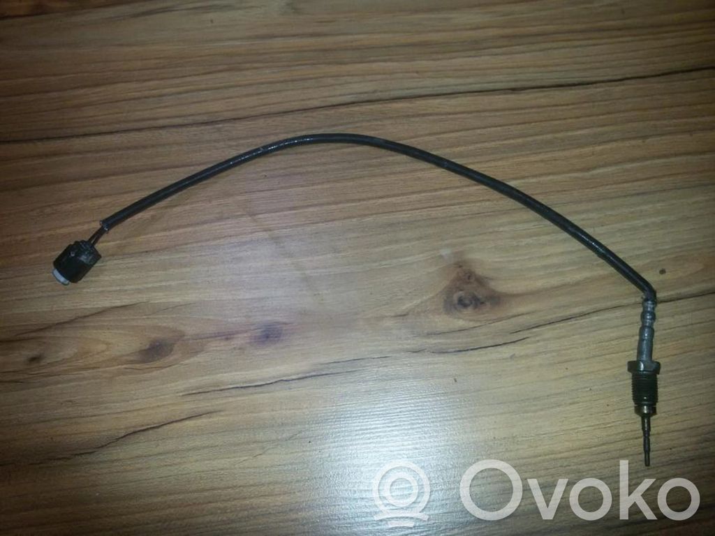 Abgastemperatursensor   7798472,7798472