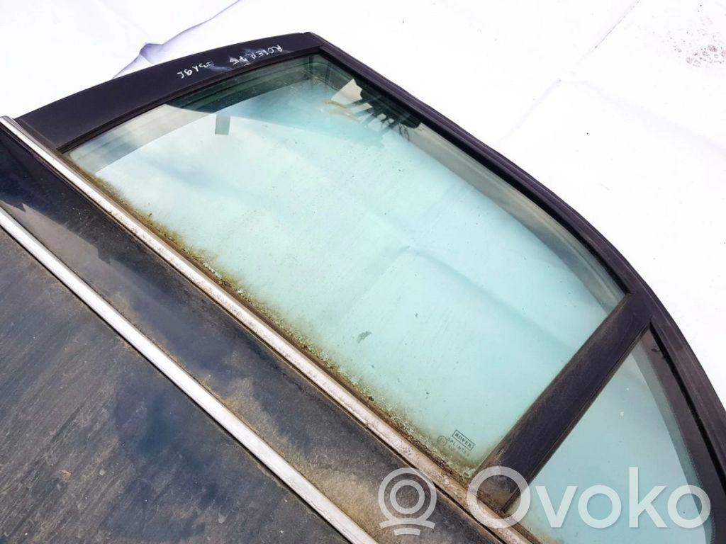 Rear door window glass