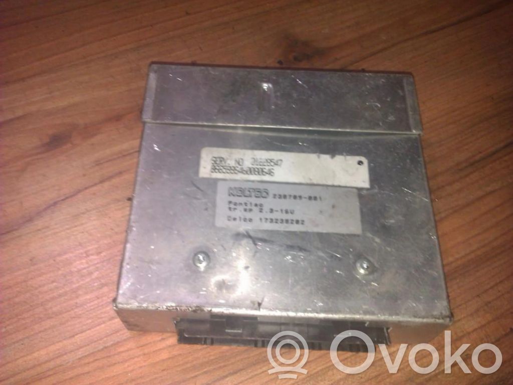 Pontiac Trans Sport Engine control unit/module 