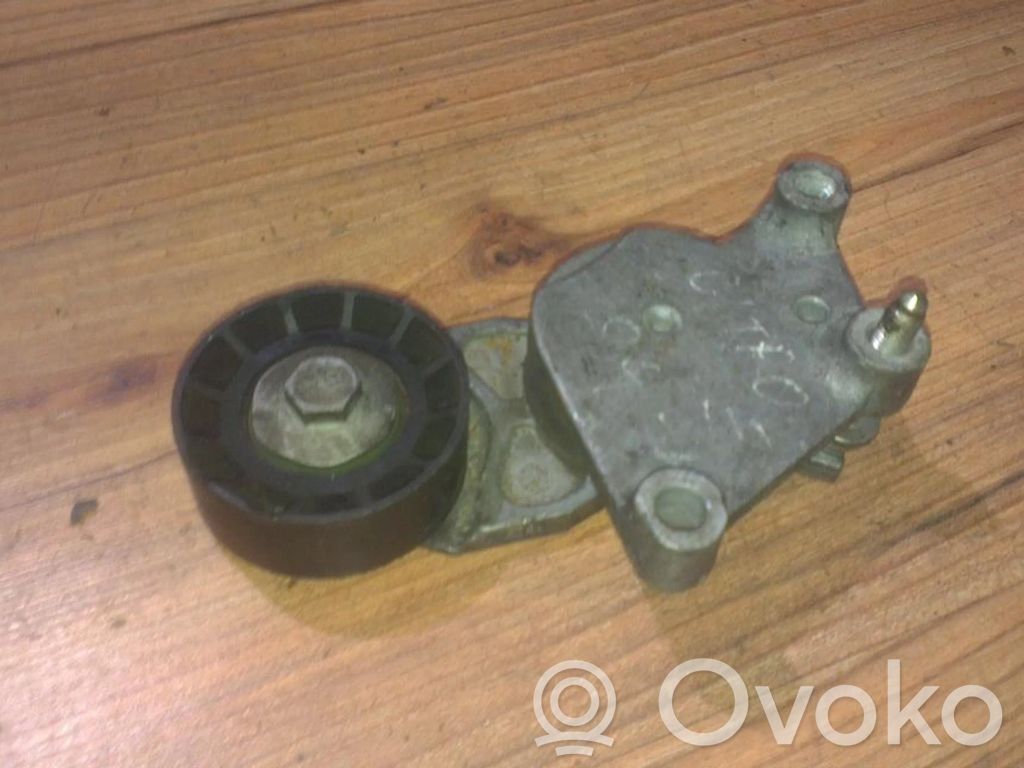 Întinzător curea generator/alternator   419484,419484