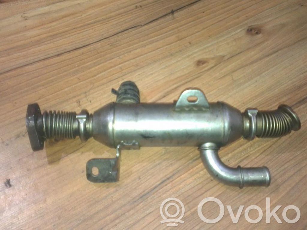 Citroen C5 Valvola di raffreddamento EGR