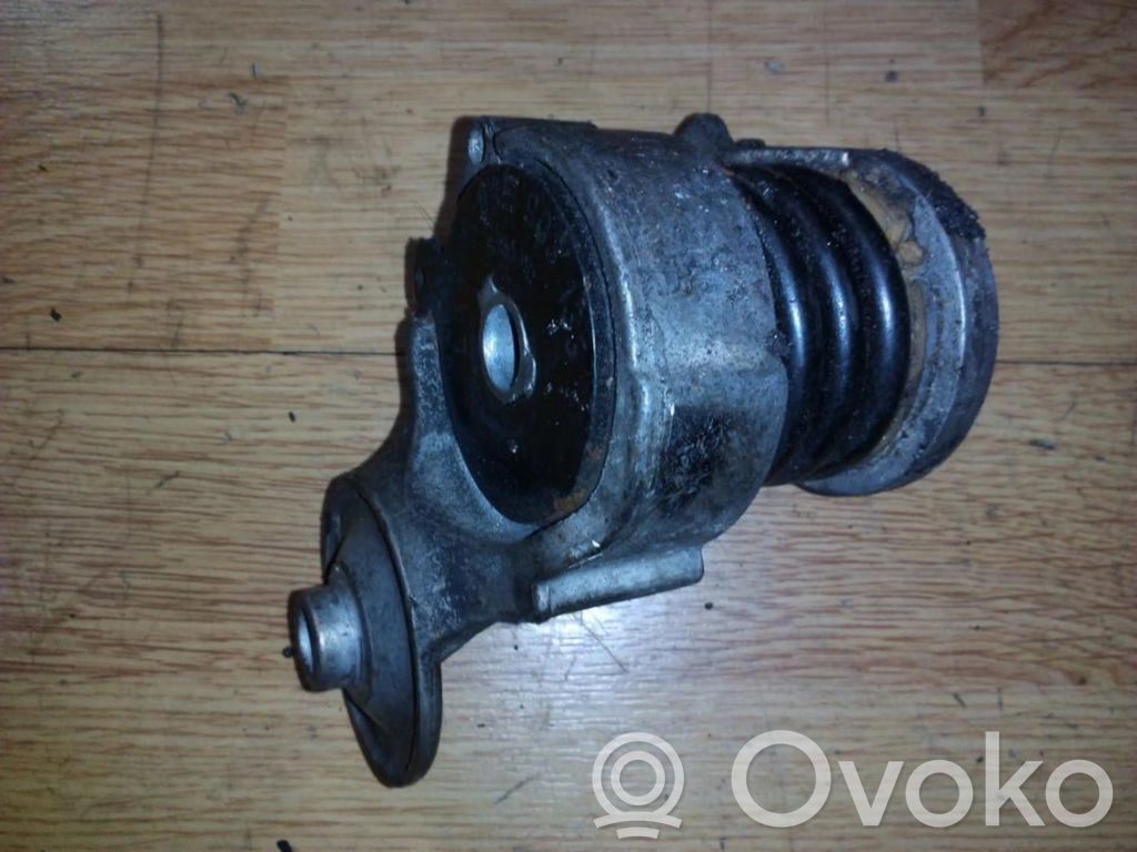 Seat Ibiza III (6L) Întinzător curea generator/alternator 