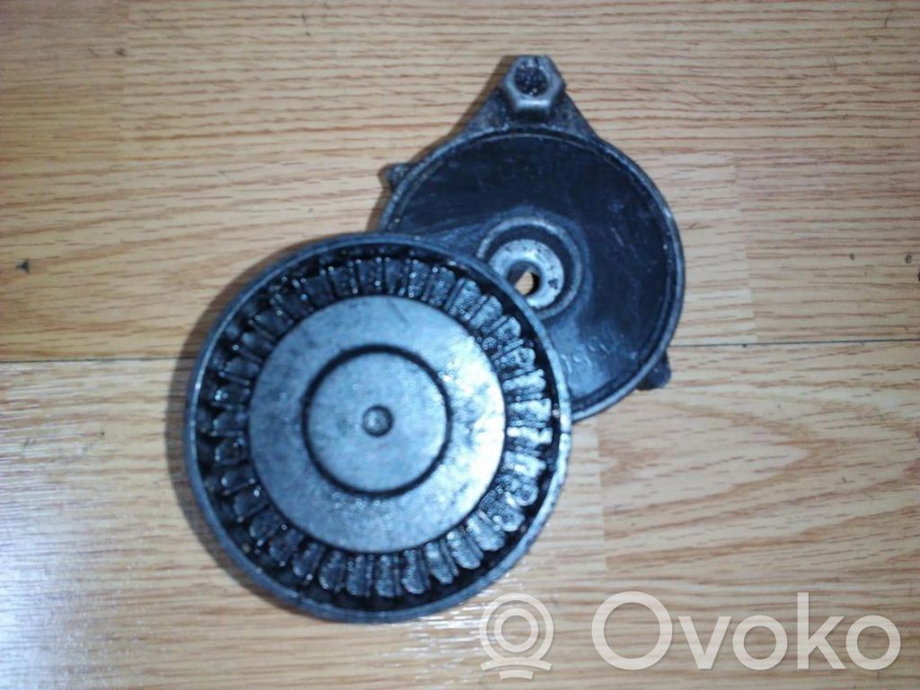 Tensor de correa del alternador   PQG100190,PQG100190
