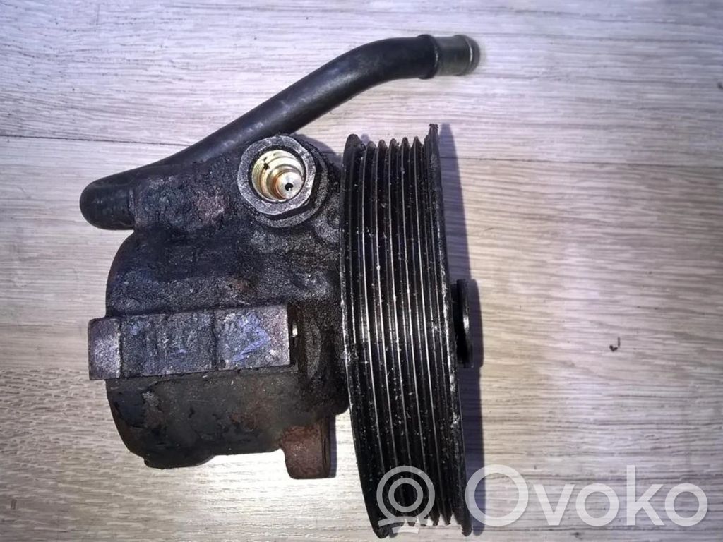 Servopumpe