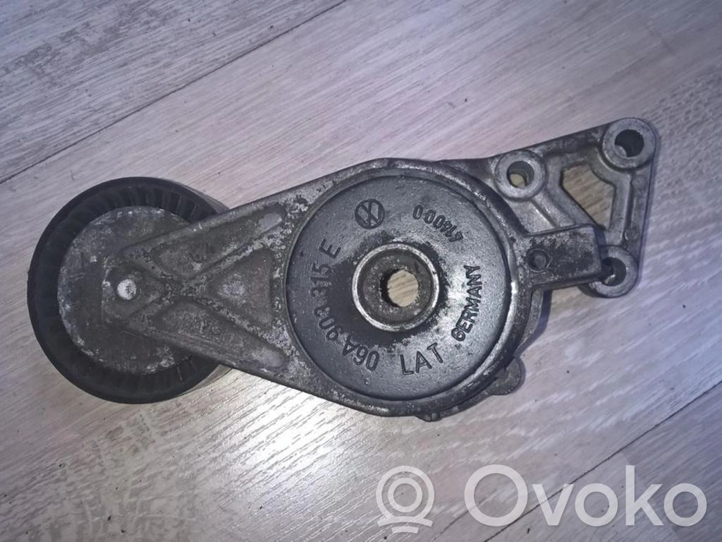 Audi A3 S3 8L Întinzător curea generator/alternator 