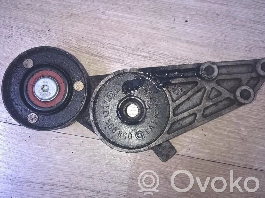 Volkswagen PASSAT B5 Napinacz paska alternatora 
