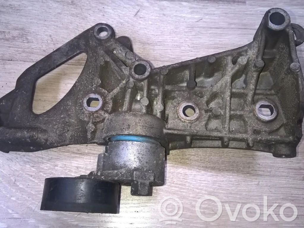 Renault Megane II Întinzător curea generator/alternator 