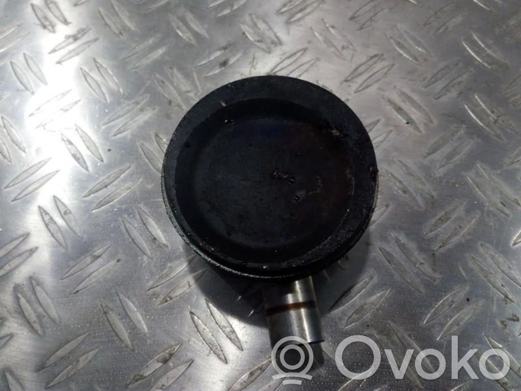 Pistón   085181,085181