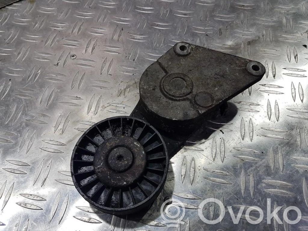 Peugeot 406 Napinacz paska alternatora