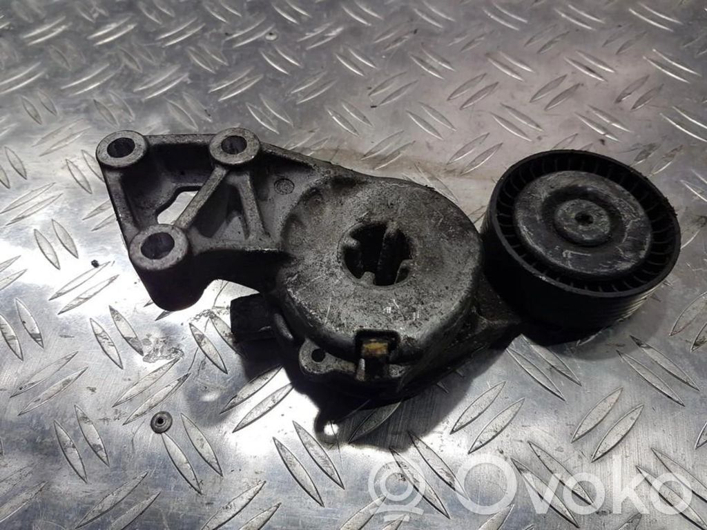 Volkswagen Golf IV Întinzător curea generator/alternator 