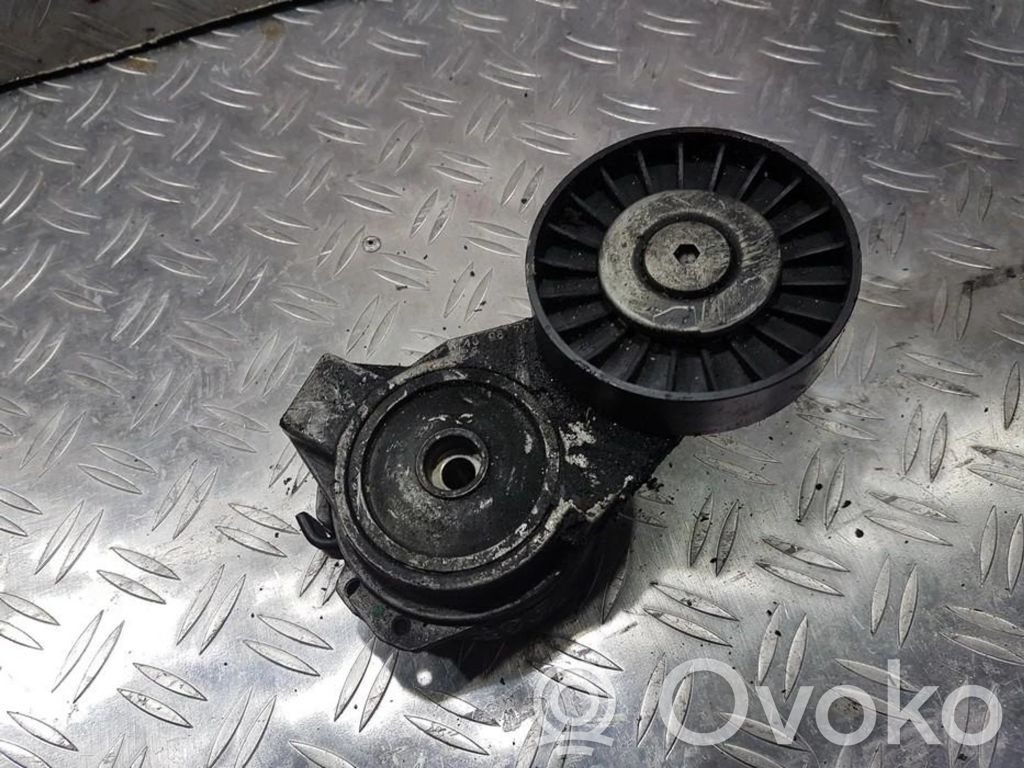 Întinzător curea generator/alternator