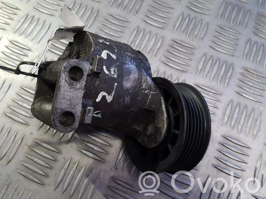 Tendicinghia generatore/alternatore   90409783,90409783