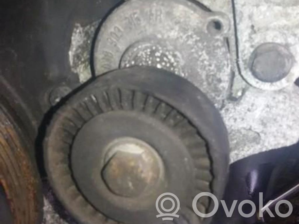 Volkswagen PASSAT B7 Tendicinghia generatore/alternatore