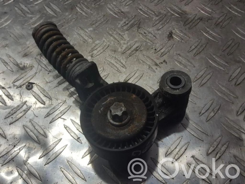 Tendicinghia generatore/alternatore