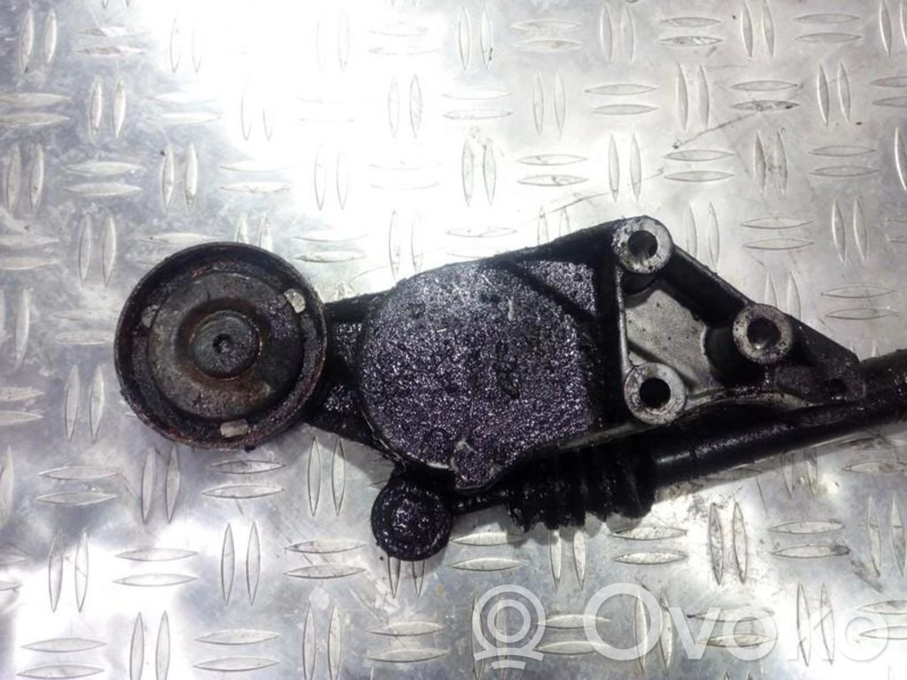 Seat Toledo II (1M) Napinacz paska alternatora 
