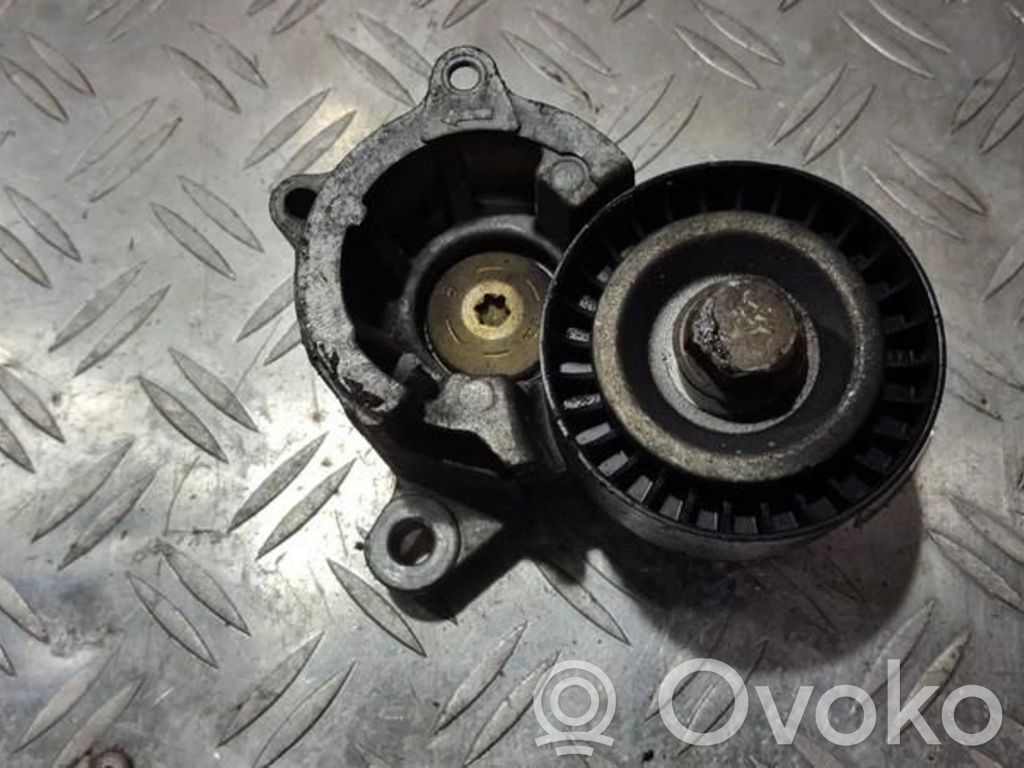 Citroen C5 Tensor de correa del alternador 
