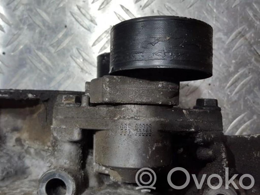 Întinzător curea generator/alternator   7700102872,7700102872