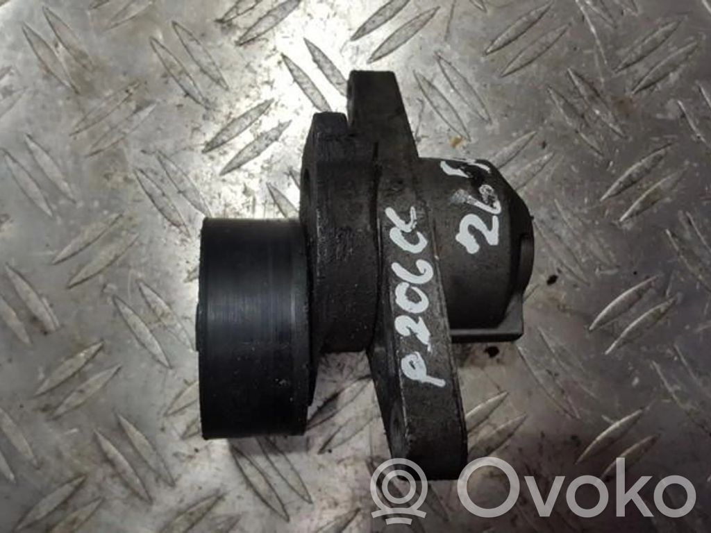 Peugeot 206 Napinacz paska alternatora
