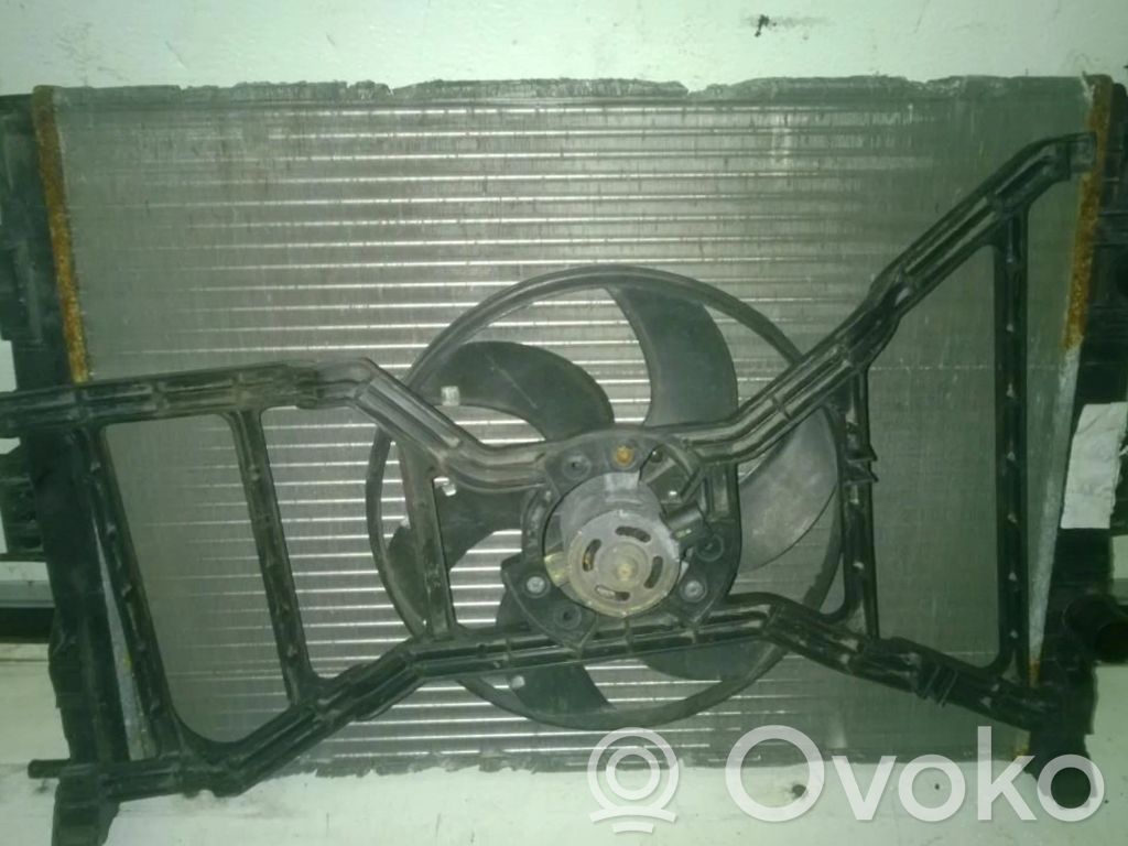 Renault Megane II Radiator lichid răcire 