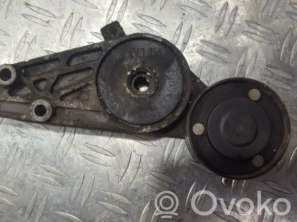 Volkswagen PASSAT B5 Napinacz paska alternatora 