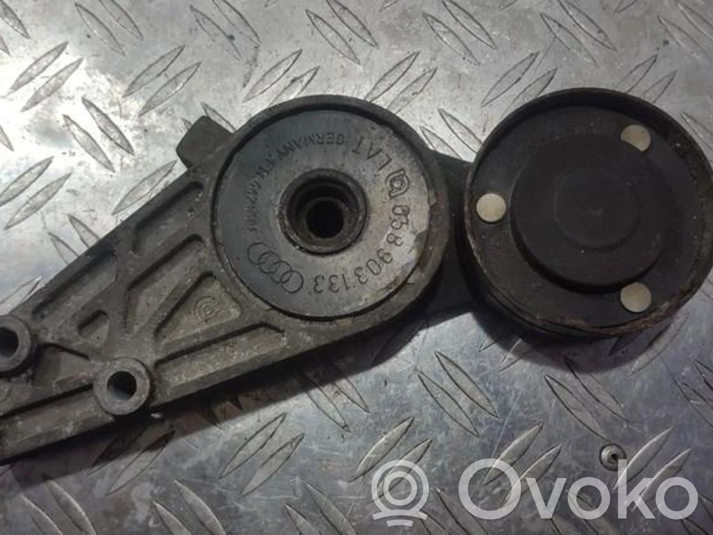 Volkswagen PASSAT B5 Napinacz paska alternatora 