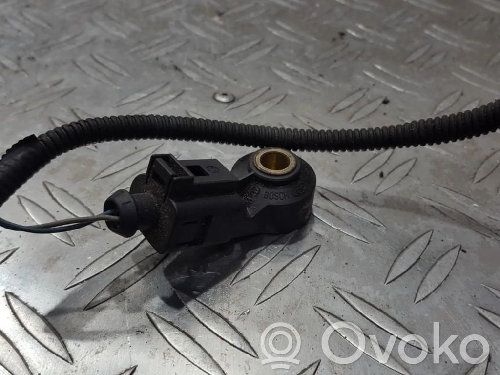 Klopfsensor   0261231146,0261231146