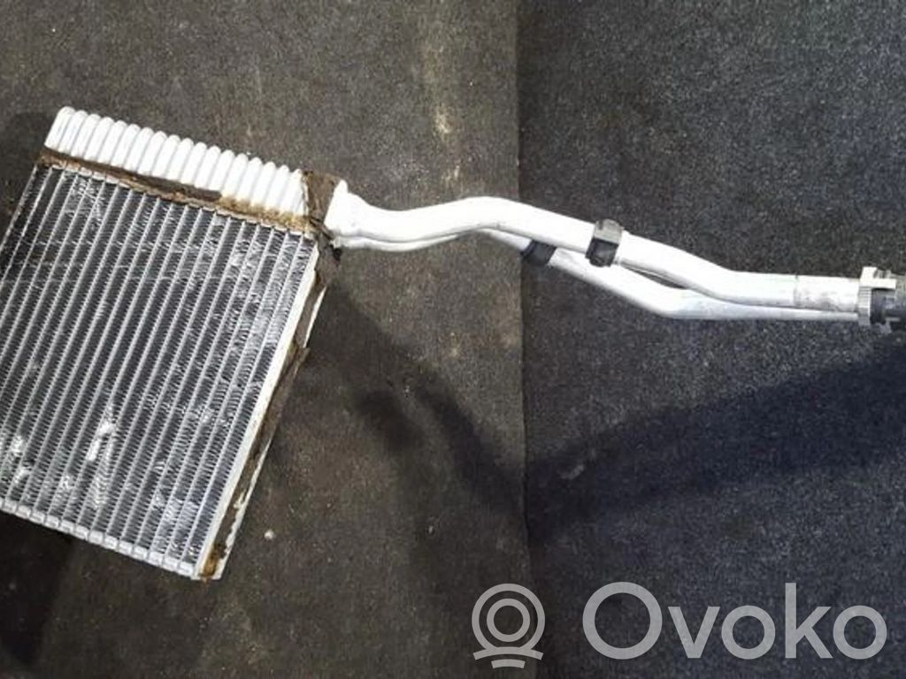 Heater blower radiator