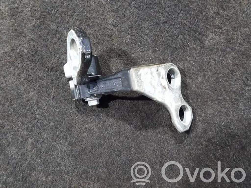 Rear door lower hinge