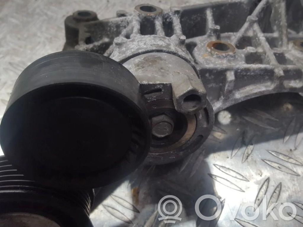 Nissan Note (E11) Întinzător curea generator/alternator 