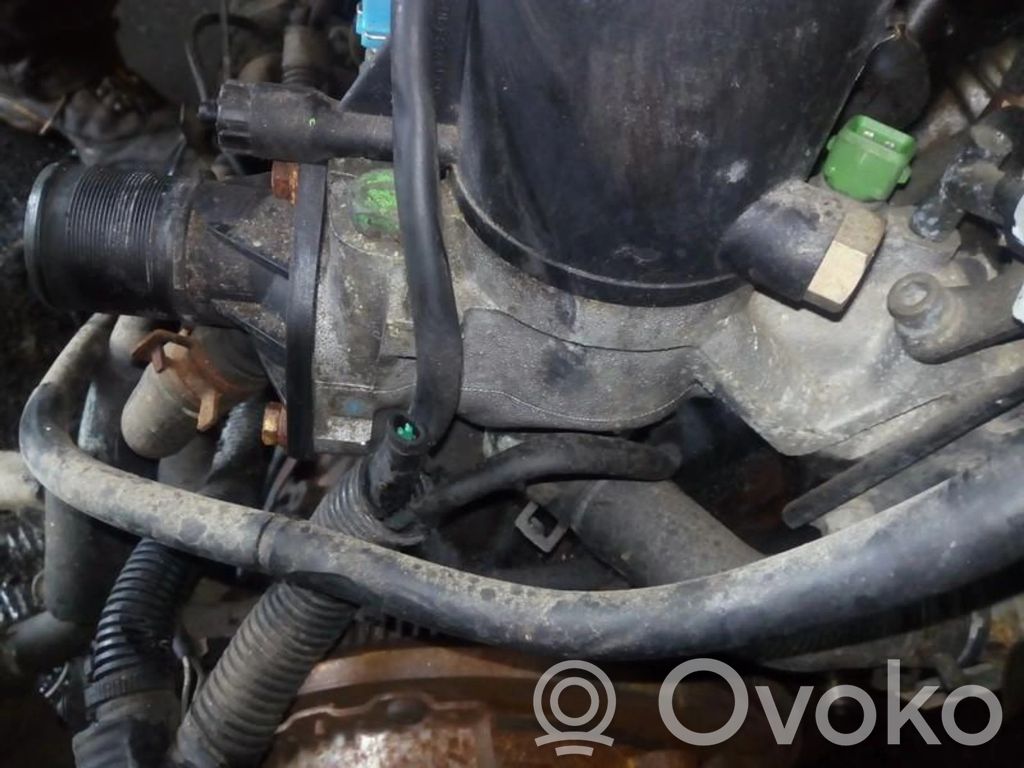Engine coolant pipe/hose