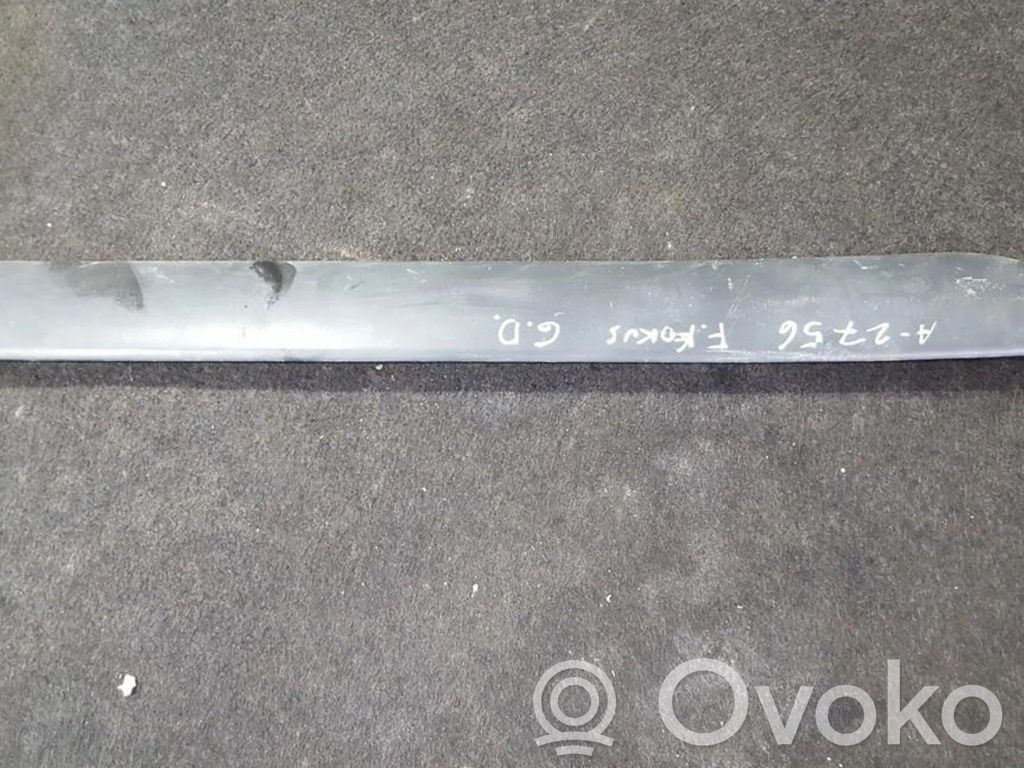 Ford Focus Rear door trim (molding) 