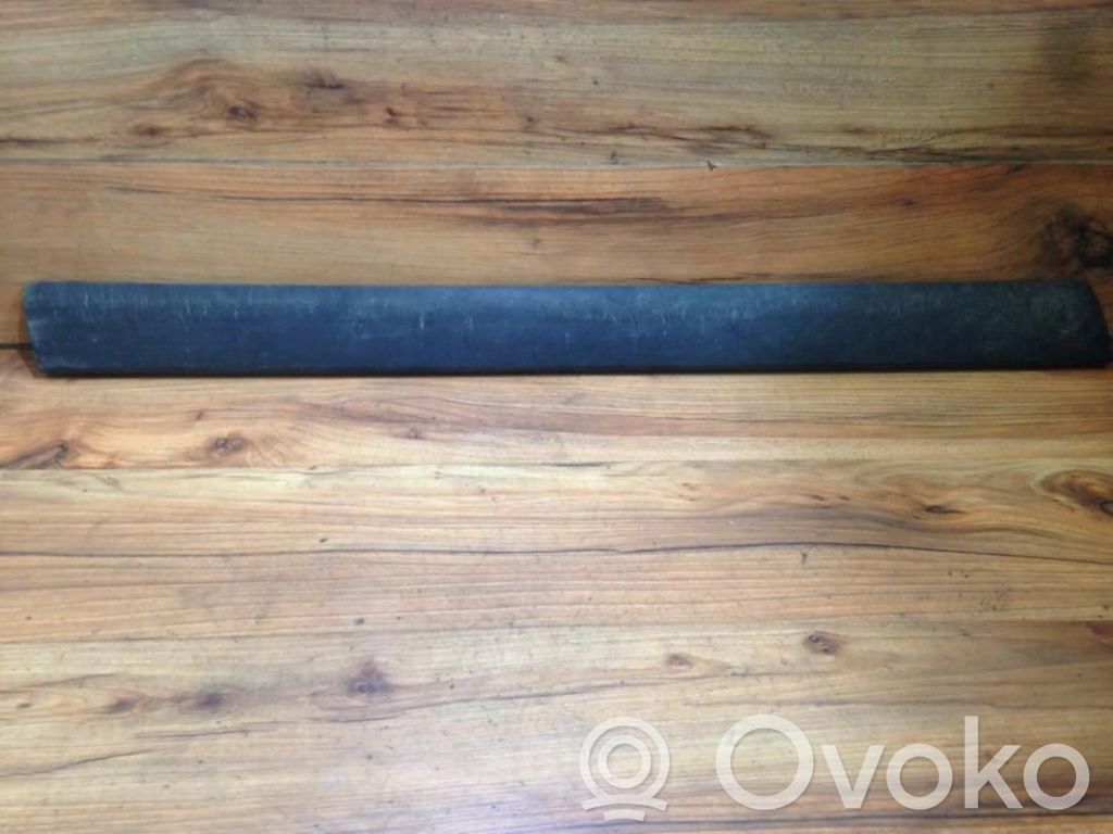 Volkswagen PASSAT B5 Rivestimento della portiera anteriore (modanatura) 