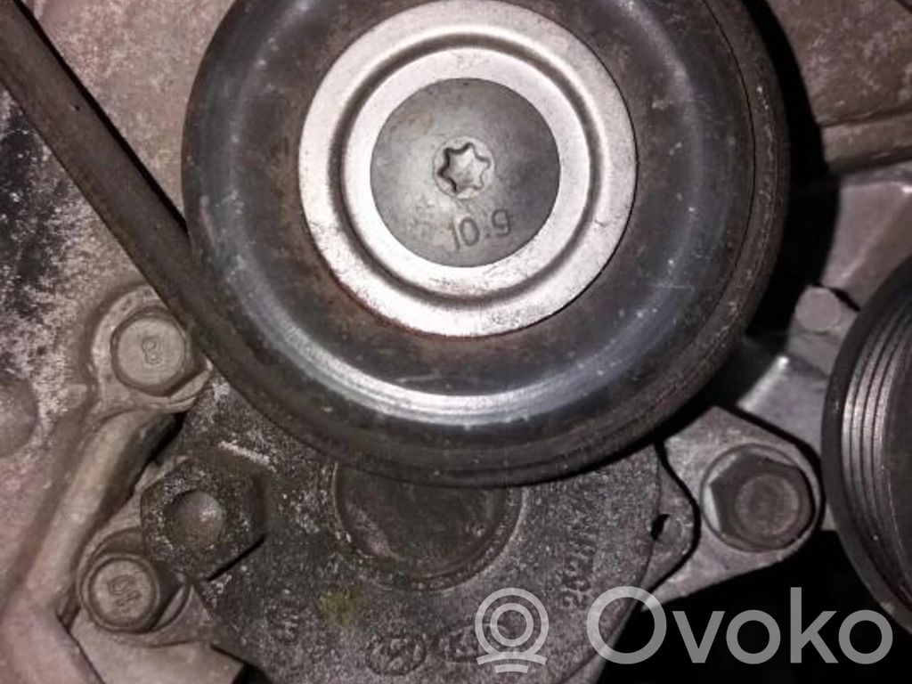 Diržo įtempėjas   252812A100,252812A100
